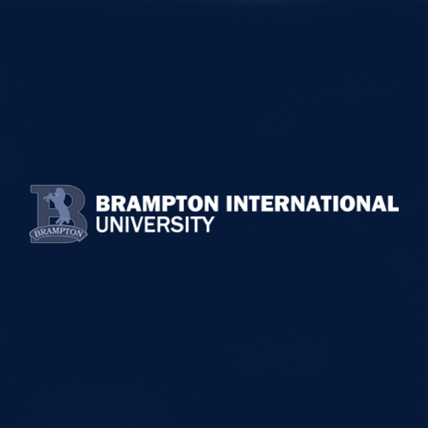 Transcription Services Brampton International University